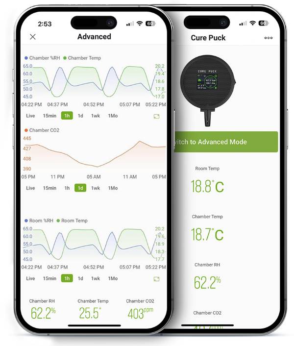 Cure Puck Fermentierung Curing Überwachung per Handy Mobile App