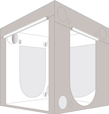 Homebox Ambient Q240+ online kaufen