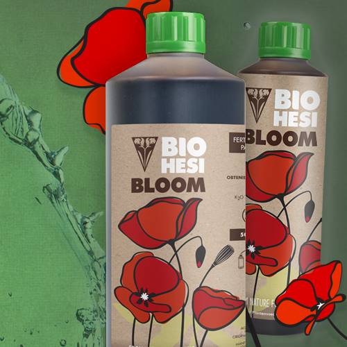 BIO HESI Bloom online günstig kaufen
