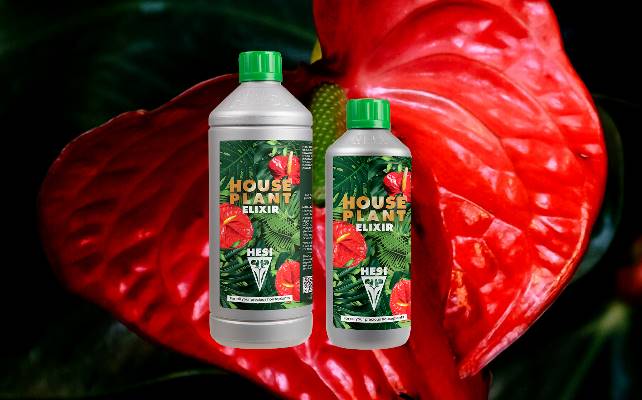 HESI House Plant Elixir Zimmerpflanzen Dünger online günstig kaufen
