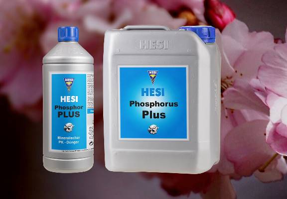 HESI Phosphor Plus online günstig kaufen