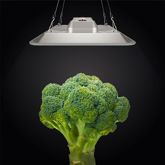 Greenception LED GC-Pure LED Lampe beste gut für Brokkoli