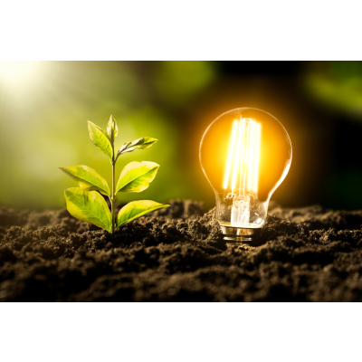 Lichttechnik für den eigenen Growroom - Lichttechnik für den eigenen Growroom