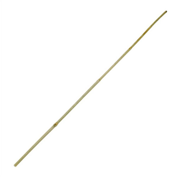 Bamboo stick plant support 90 cm