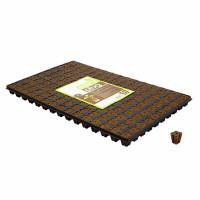 Eazy Plug Seed Blocks Tray 150 pcs