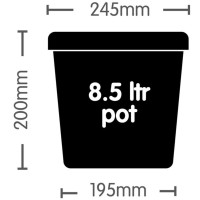 AutoPot Topf 8,5 Liter schwarz