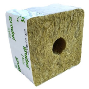 Grodan stone wool block 10x10x6.5cm small hole 27mm