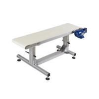 Master Trimmers Output Conveyor