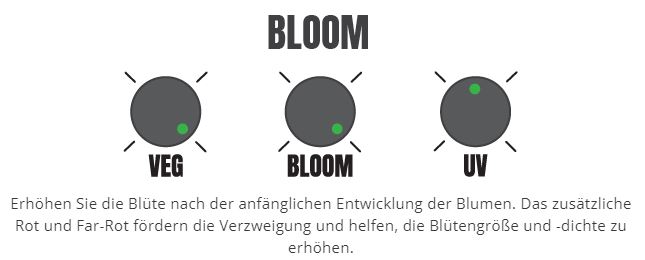 Hellion VS3 - Was ist das richtige Spektrum für die Blüte?